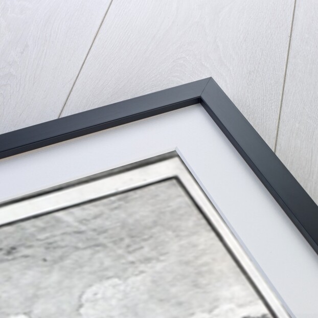 Gulliver amongst the Lilliputians by Johann Sebastien Muller