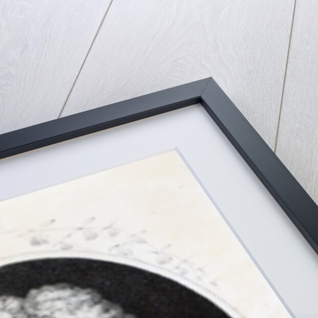 Sebastien Vaillant by French School