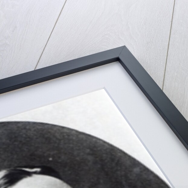 Richard Jefferies, c.1882 by English Photographer