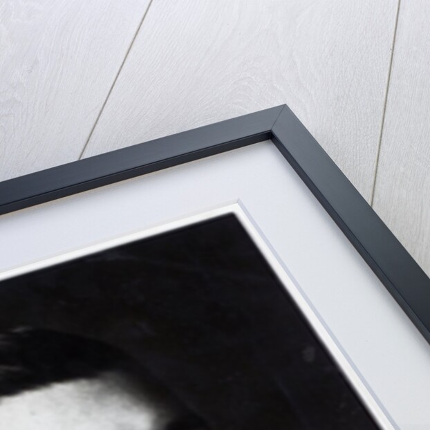 Austen Chamberlain by English Photographer