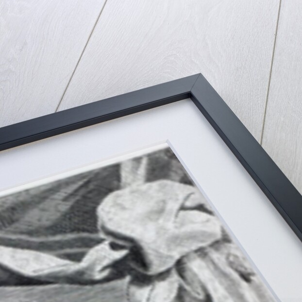 John Barclay, c.1623 by Claude Mellan