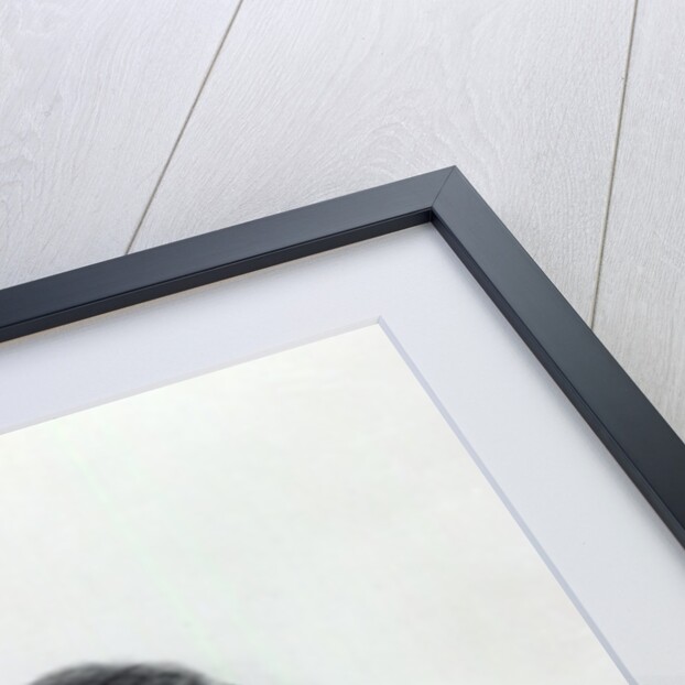 The Very Rev. J.H Newman, engraved by John Alfred Vinter, 1850 by Maria (after) Giberne