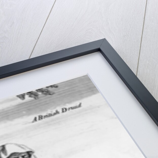 A British Druid by William Stukeley