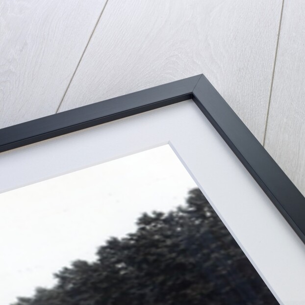 Piccadilly, London by English Photographer