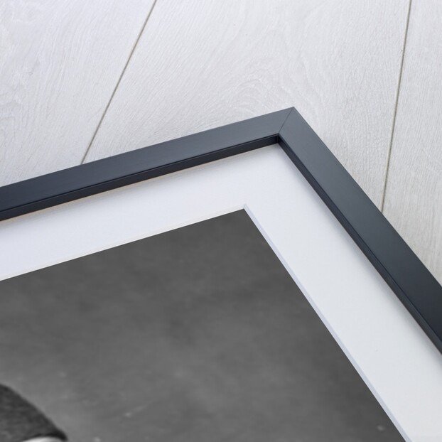 Naser al-Din Shah Qajar of Persia by English Photographer