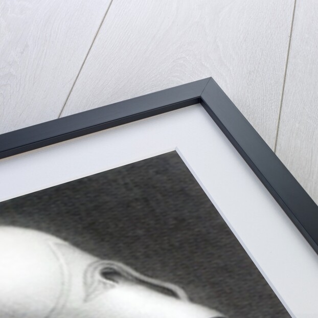 Bust of Pericles by Giuseppe Longhi