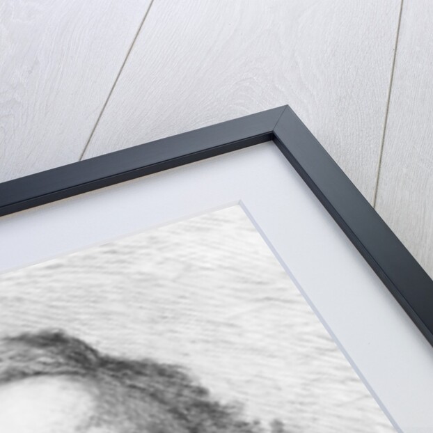 Thomas Love Peacock, drawn and etched by W.H.W Bicknell, 1910 by Henry (after) Wallis