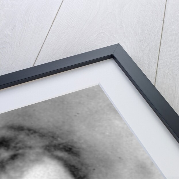 Violet Dickinson by English Photographer