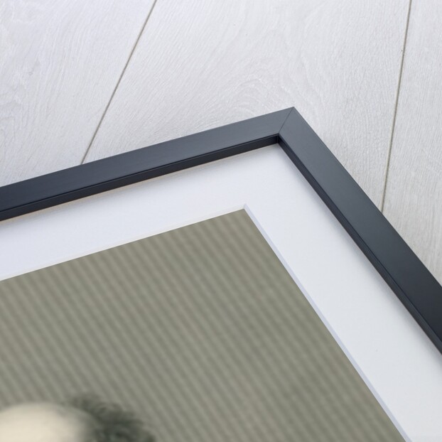 Sir John Franklin engraved by D.J. Pound from a photograph by John Jabez Edwin Paisley (after) Mayall