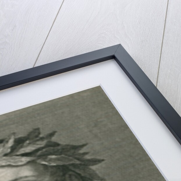 Torquato Tasso from 'The Gallery of Portraits', published 1833 by English School