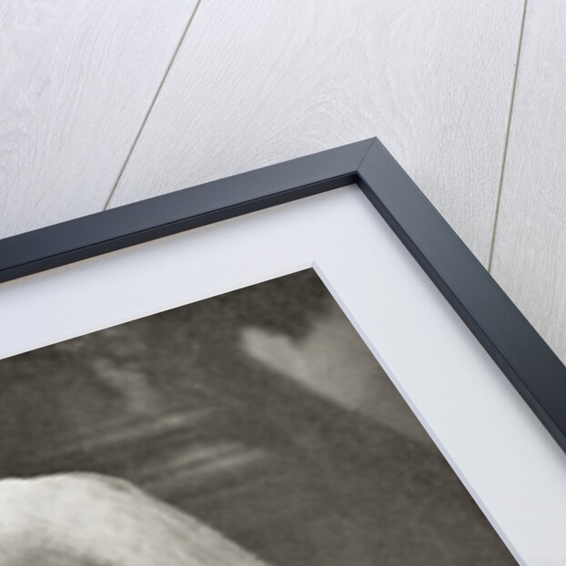 Queen Victoria c.1899 by English Photographer