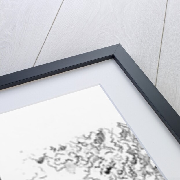 The Ancient Mariner with the Wedding Guest by Gustave Dore