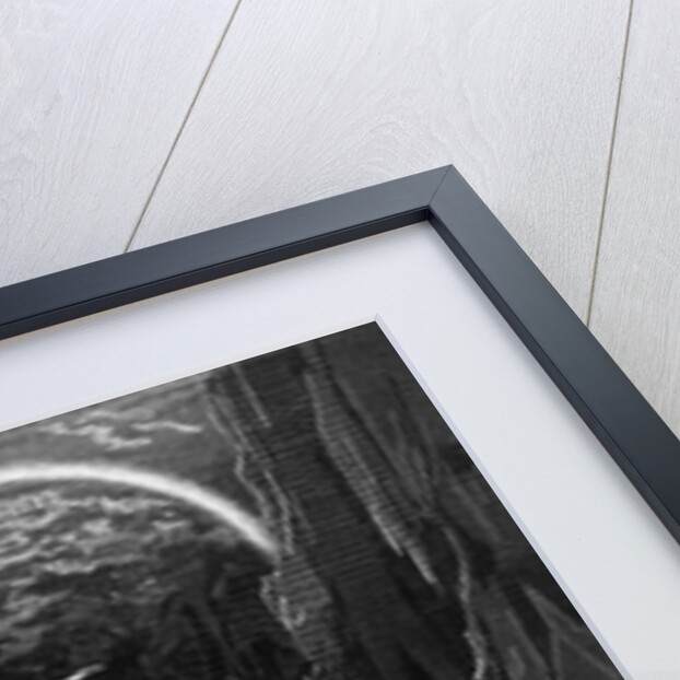 The appearance of the albatross to lead the marooned ship out of the frozen seas of Antartica by Gustave Dore