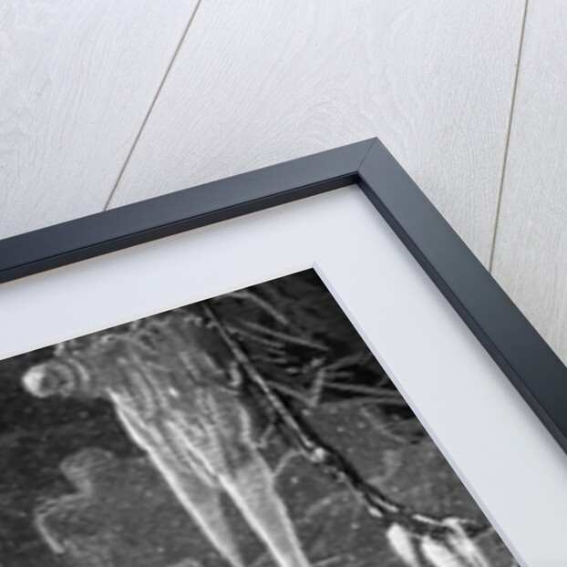 The albatross being fed by the sailors on the the ship marooned in the frozen seas of Antartica by Gustave Dore