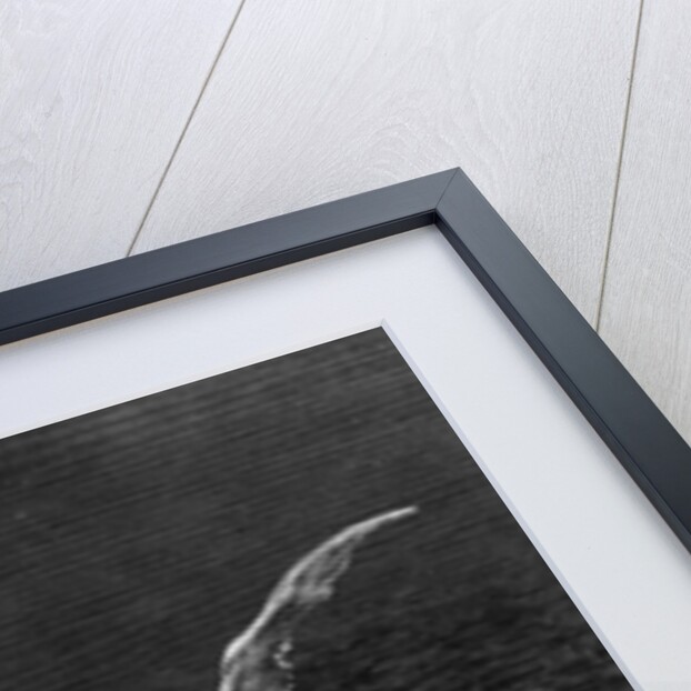 The albatross is shot by the Mariner by Gustave Dore