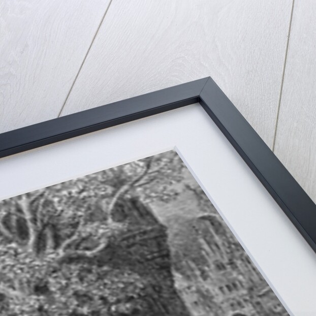 Crowd of onlookers and spectators at the wedding by Gustave Dore