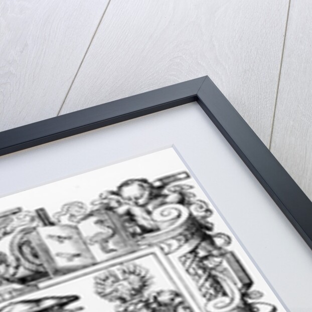 Conrad Gesner by Swiss School