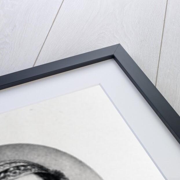 Baroness Louise Lehzen by English School