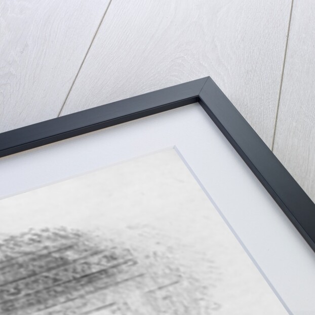 Flora's tour of inspection by Hablot Knight (1815-92) Browne