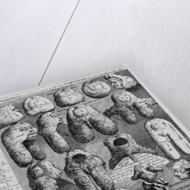 The Five Orders of Perriwigs, 1761 by William Hogarth