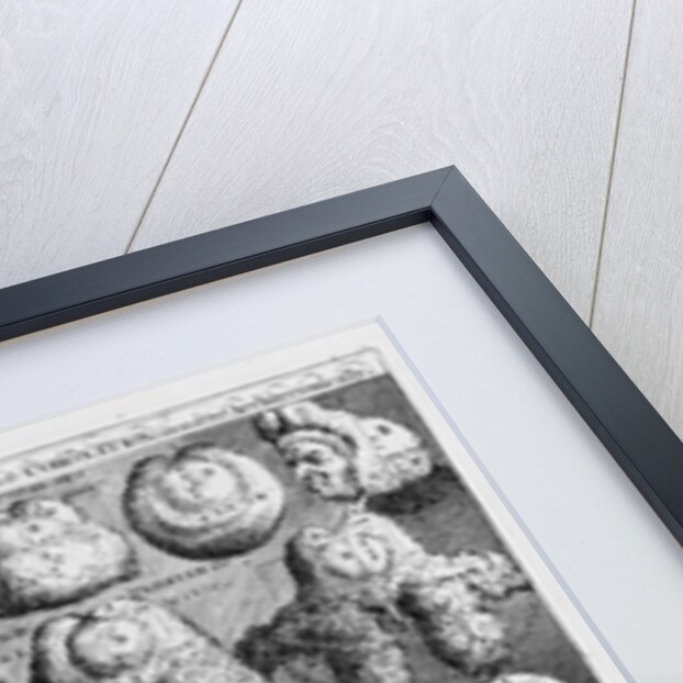 The Five Orders of Perriwigs, 1761 by William Hogarth