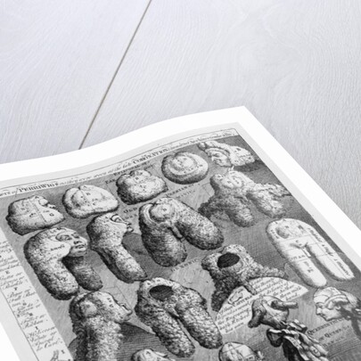 The Five Orders of Perriwigs, 1761 by William Hogarth