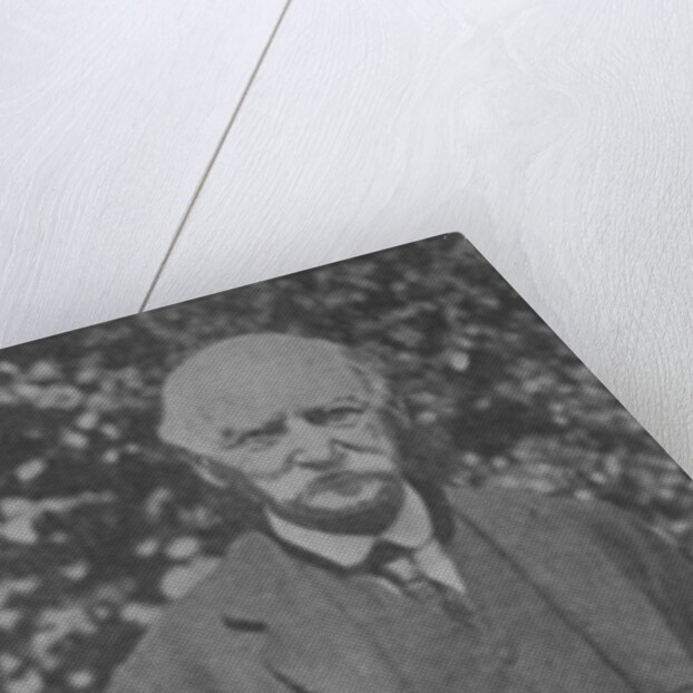 Thomas Hardy by English Photographer