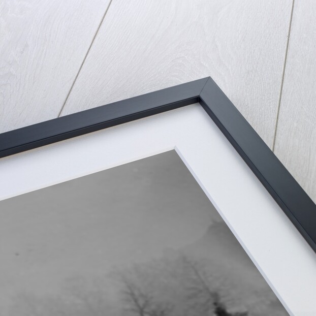 Queen Victoria's funeral cortege passes Wellington Arch, 2nd February 1901 by English Photographer