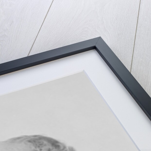 John Richard Green, engraved by George J. Stodart by Anthony Frederick Augustus (after) Sandys