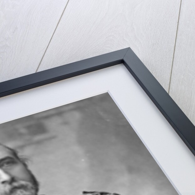 Sir James Whitehead, Lord Mayor of London, c.1888-9 by English Photographer