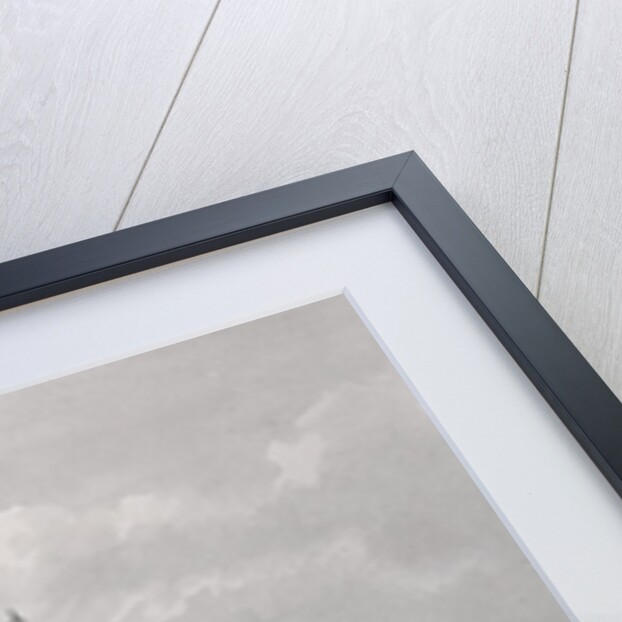 View of Golden Mountain Island in the Blue River, China, c.1794 by William Alexander