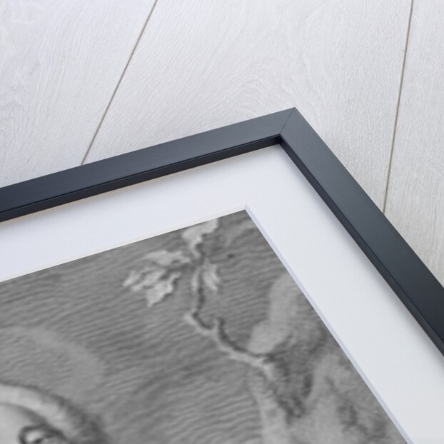 Wilhelm VIII, Landgrave of Hesse-Kassel, 1755 by Jacobus Houbraken