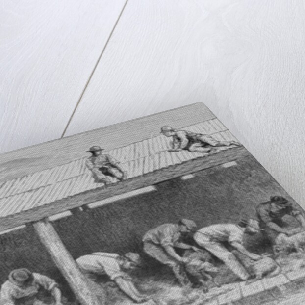 Sheep Shearing, c.1880 by English School