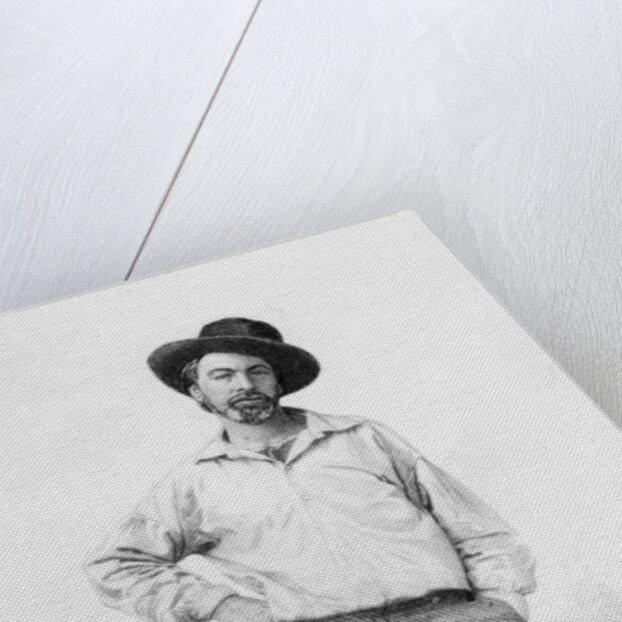 Walt Whitman by American School