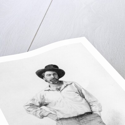 Walt Whitman by American School