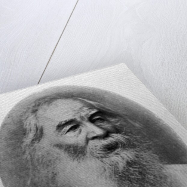 Walt Whitman, photographed in 1889 by American Photographer