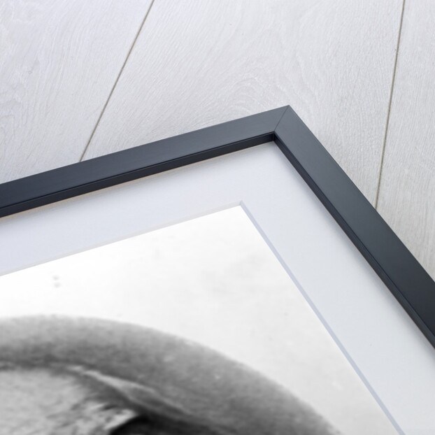 Walt Whitman, photographed in 1889 by American Photographer