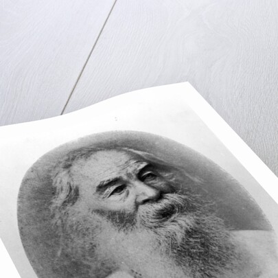 Walt Whitman, photographed in 1889 by American Photographer