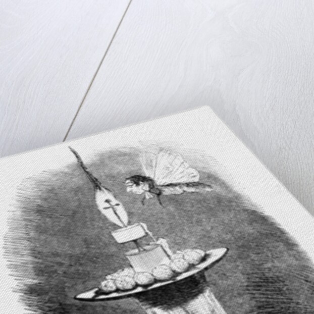 The Puseyite Moth and the Roman Candle by English School