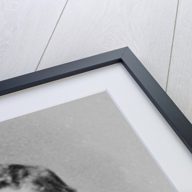 Roger Casement by English Photographer