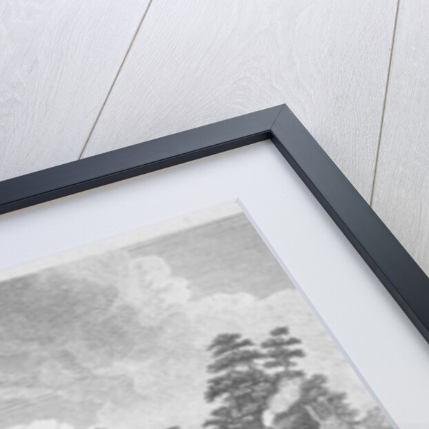 View of the Pest-Houses at Tothill Fields engraved by Charles Pye, 1796 by Edward Dayes (after)