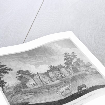 View of the Pest-Houses at Tothill Fields engraved by Charles Pye, 1796 by Edward Dayes (after)