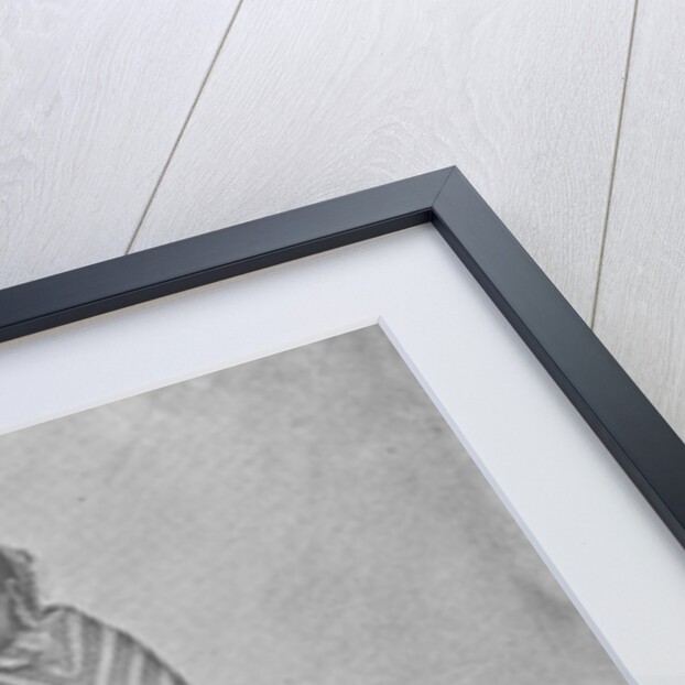 Sultan Shahjahan, Begum of Bhopal by English photographer