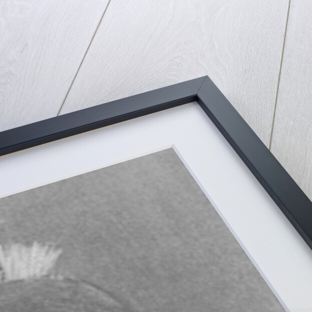 Mahbub Ali Khan, 6th Nizam of Hyderabad by (after) English photographer