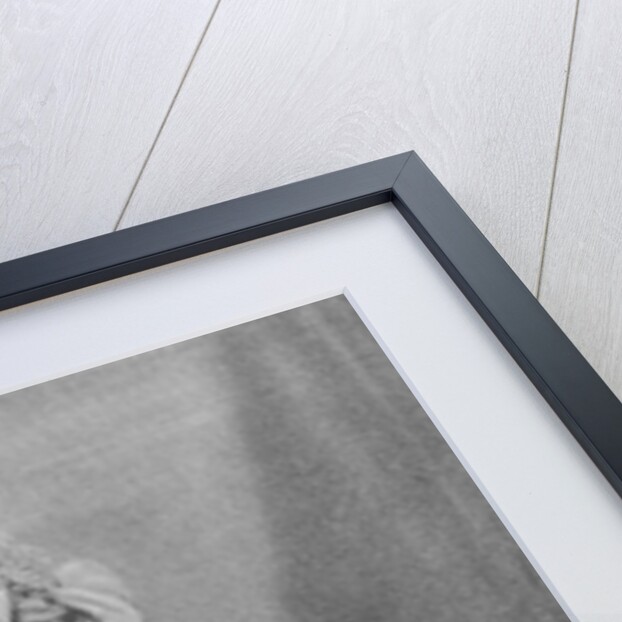 Maharaja Pratap Singhji of Jammu and Kashmir by (after) English photographer