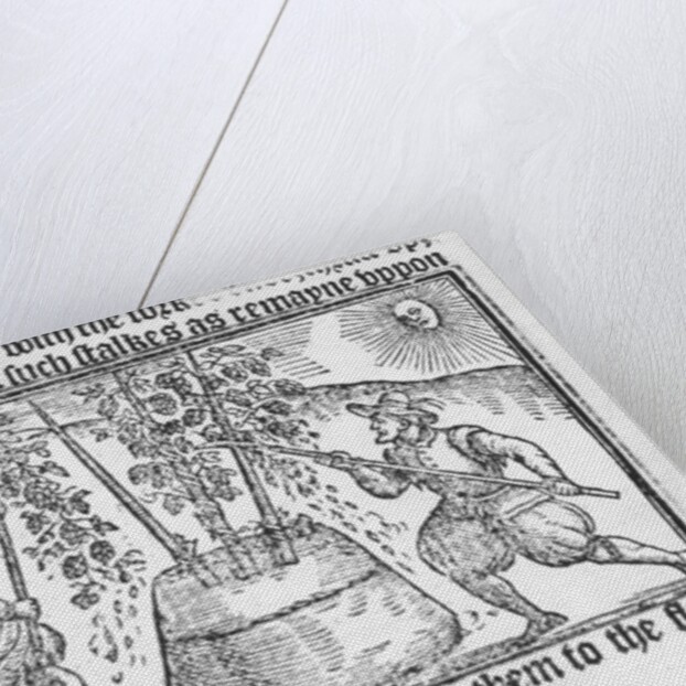 Hop Cultivation by English School