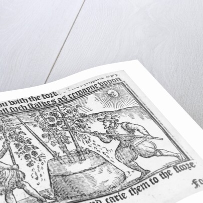 Hop Cultivation by English School