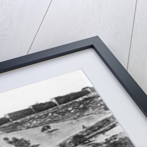 Garden of Gethsemane, 1857 by James & Beato Felice (1832-1909) Robertson