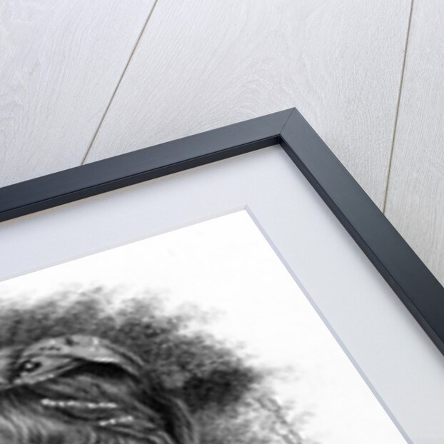 Hester Thrale by Joshua (after) Reynolds