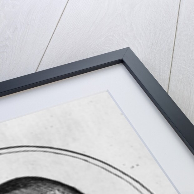 Sir David Lyndsay of the Mount, 1634 by English School